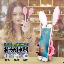 电网打兔子视频,兔子与电线的趣味冒险