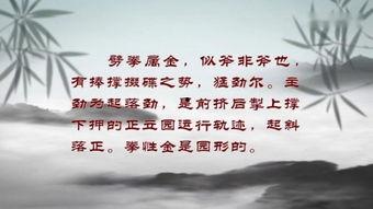 心意拳视频,视频教学中的招式与内涵解析