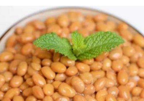 酸奶机怎么做纳豆视频