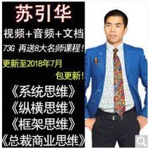 苏引华全套视频,揭秘商业成功之道