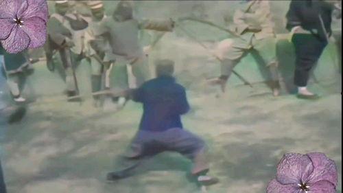 回马枪视频,揭秘武术中的绝技与智慧