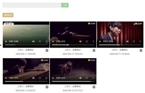 中国video视频一,记录时代变迁，见证民族复兴