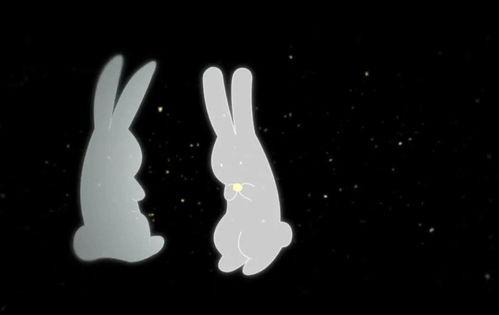 月兔视频,揭秘神秘月兔世界，带你领略奇幻宇宙之旅