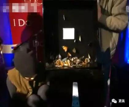 王菲捡蝴蝶视频,一段自然与艺术的和谐邂逅