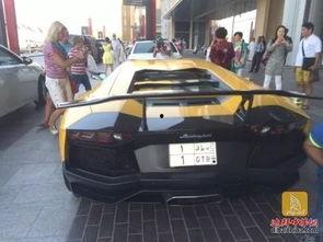 车牌拍卖视频,竞拍激烈，价格飙升