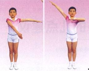 广播体操第七套视频,活力四射，健康生活新篇章