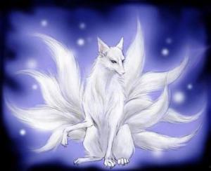 新白狐视频,穿越时空的奇幻之旅